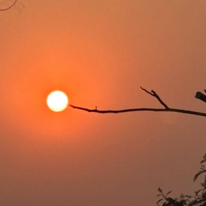 跟暧昧对象来了场坦白局，我们结束了