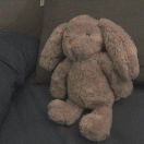 草莓感冒片_xN0Z