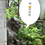 暂停的粉丝儿