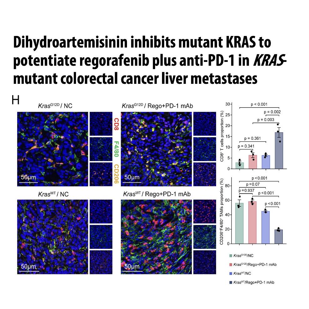 1418-DHA Potentiates Regorafenib and Anti-PD-1 episode artwork