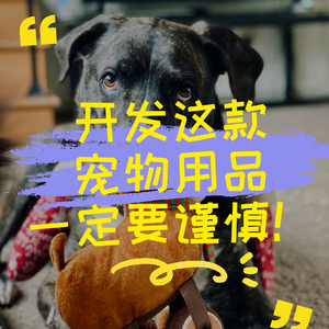 开发这款宠物用品一定要谨慎