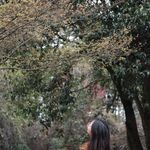 如意如意随我星意