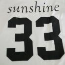 33_VaSu