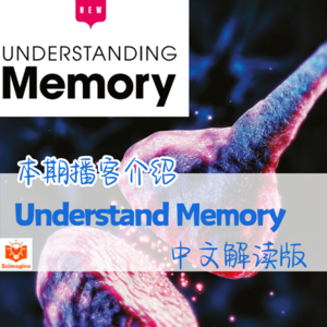 记忆力的奥秘| 英文杂志|中文解读