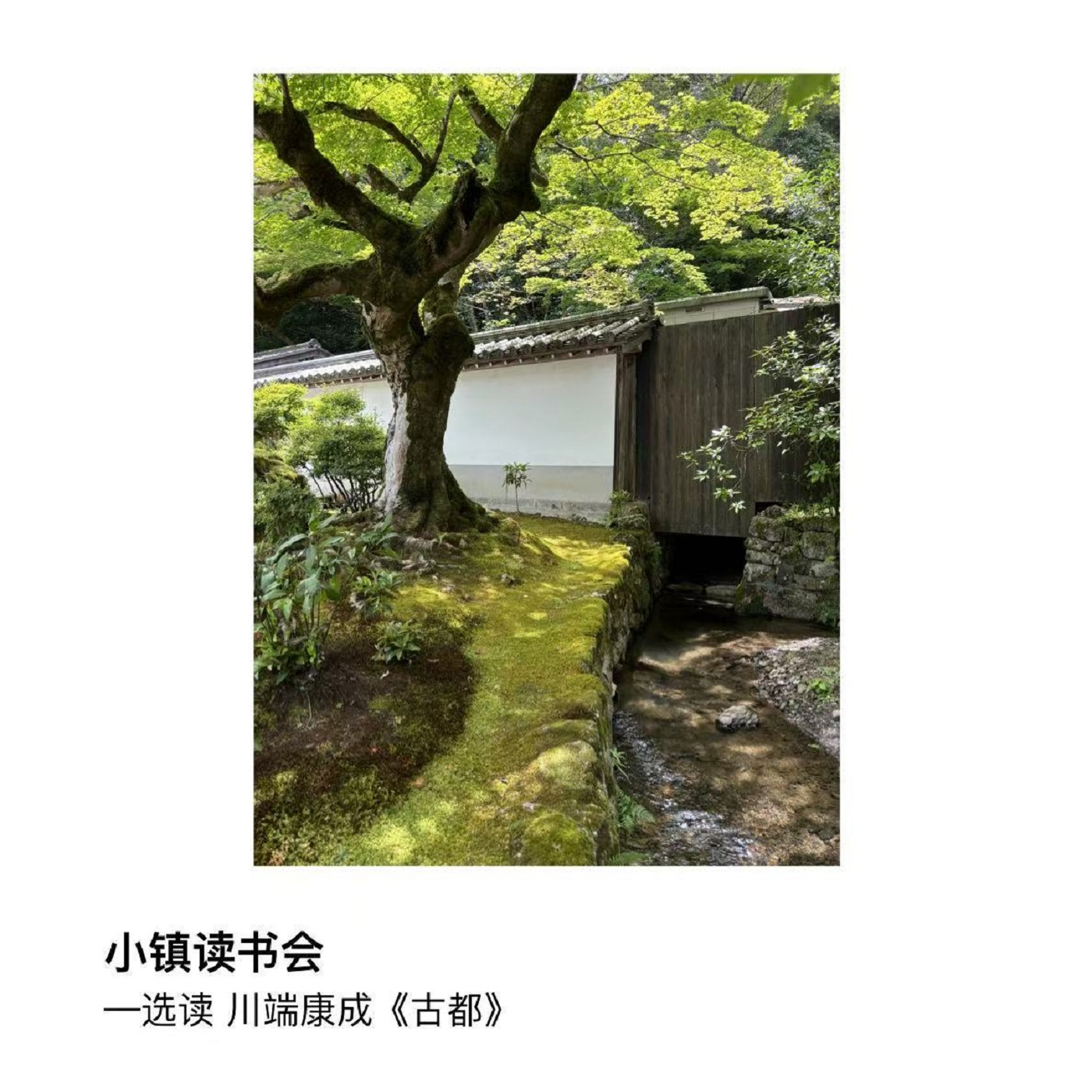 选读 川端康成 《古都》 episode artwork