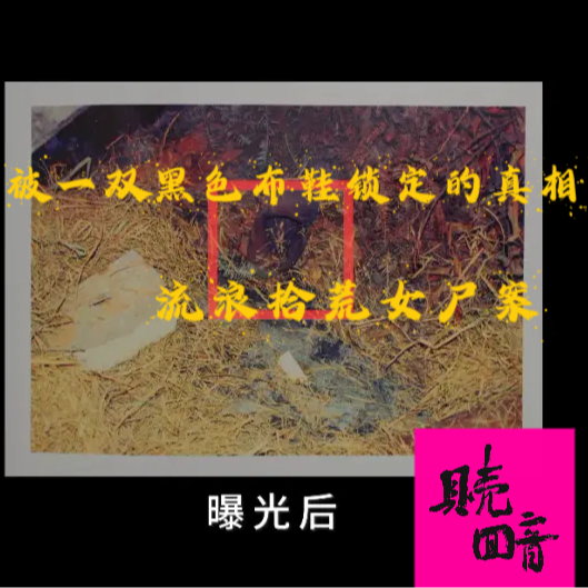 EP12.被一双黑色布鞋锁定的真相-流浪拾荒女尸案 episode artwork