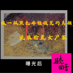 EP12.被一双黑色布鞋锁定的真相-流浪拾荒女尸案
