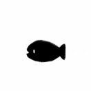 不许小鱼吐泡泡