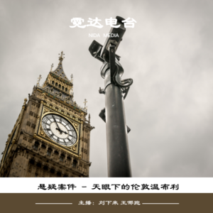 39. 天眼下的温布利：黛布拉·庄谋杀案
