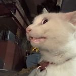 xxbx