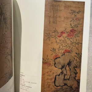 50如果我是晚晚，黑红这条路，我愿意走吗？