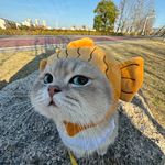 詹妮弗莉