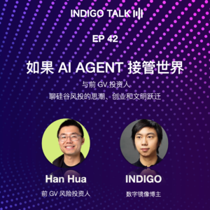 如果 AI AGENT 接管世界 / 与前 GV 投资人聊硅谷风投的思潮、创业和文明跃迁 - EP42