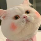 喜喜_iAOu