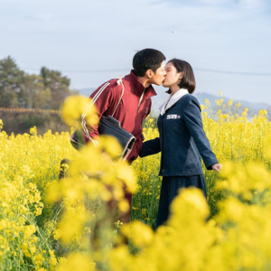 Ep52 《苦尽柑来遇见你》：一曲献给普通人的挽歌