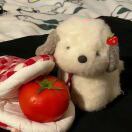 想要一把光轮2000