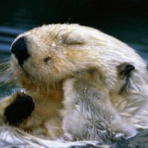 抑郁以后，我把老公和妈妈都带到了医院|当代青年养生图鉴08集