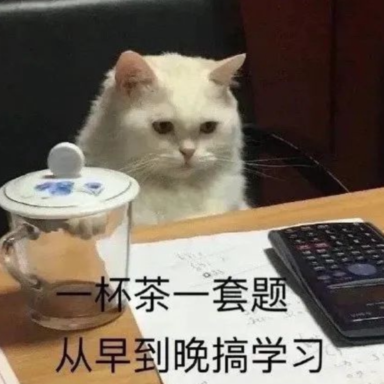鸽厂闲聊#07｜高中语文成语知识突击检查！你还记得多少？｜学生时代谁还没抄过作业呢 episode artwork