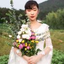 雪晴楊
