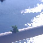 起名字真的好难