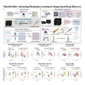 205-PhenoProfiler: Phenotypic Learning for Drug Discovery