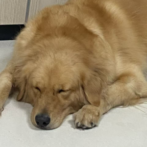 Vol03:拿什么拯救你，我的旧爱