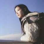 cat肥头猫
