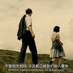 想要飞起的鸟啊啊