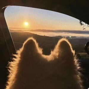 podcaster-avatar