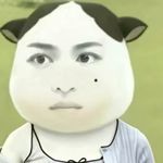 老圆1127