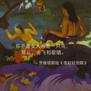 序|如果你是一只鸟,那就去飞和歌唱