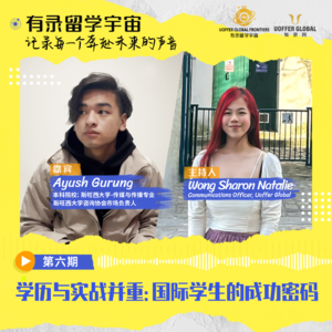 学历与实战并重:国际学生的成功密码