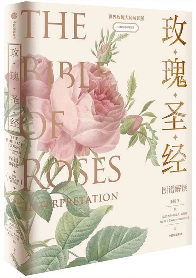 《玫瑰圣经》图谱解读