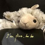 麦田里的小超人