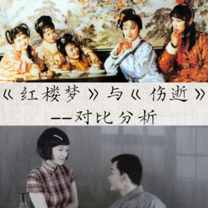 《红楼梦》与《伤逝》比较分析