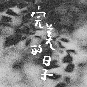 完美的日子 Perfect Days