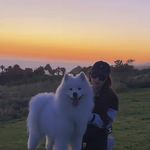 破晓前的秘密