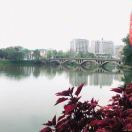 东风岸