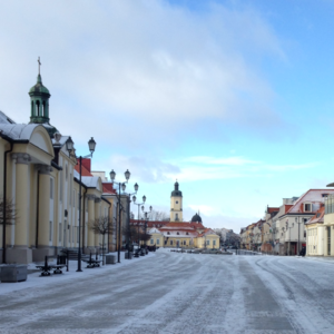 23. 如果全球说同一种语言，世界会更和平吗？