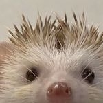 江江江江江江江江江