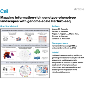 281-Perturb-seq Maps Genotype-Phenotype Landscapes