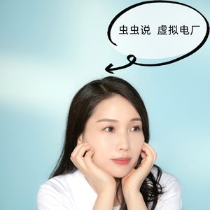 虫虫说虚拟电厂