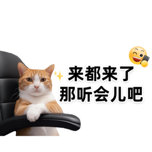 🤦‍♀️美本申请中槽点满满但干货十足的故事