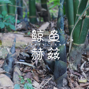 Vol.201 私以为,春天吃竹笋是很重要的事