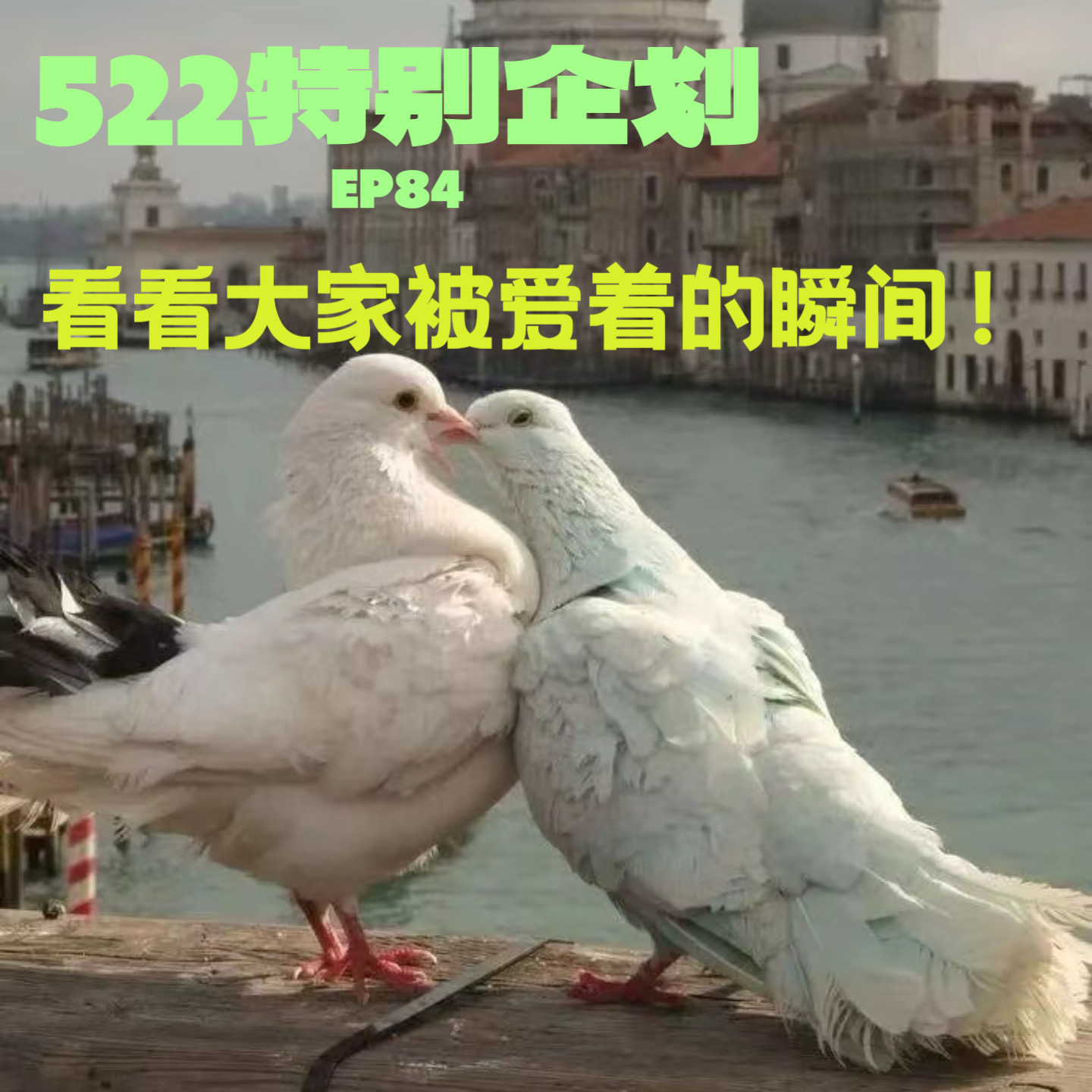 cover of episode EP84 522特别企划｜看看大家被爱着的瞬间！