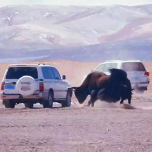 北方的空地—在三大无人区旅行的那些事儿