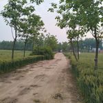 鱼象元