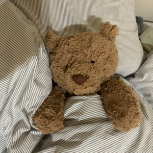 五光十色的小熊