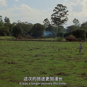 海伦单车漫谈记