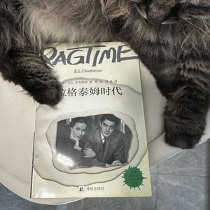 31. 变革的时代下，个人的悲喜不值一提|《拉格泰姆时代》（一）